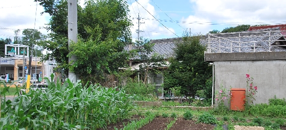c0013922_11112634.jpg