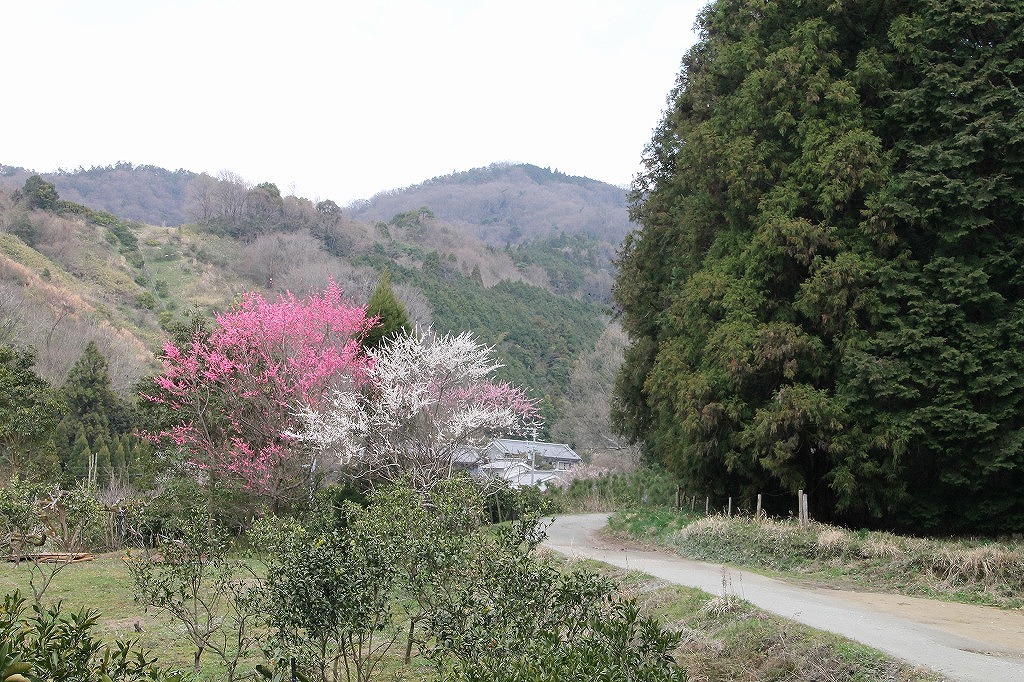 b0162728_17531939.jpg