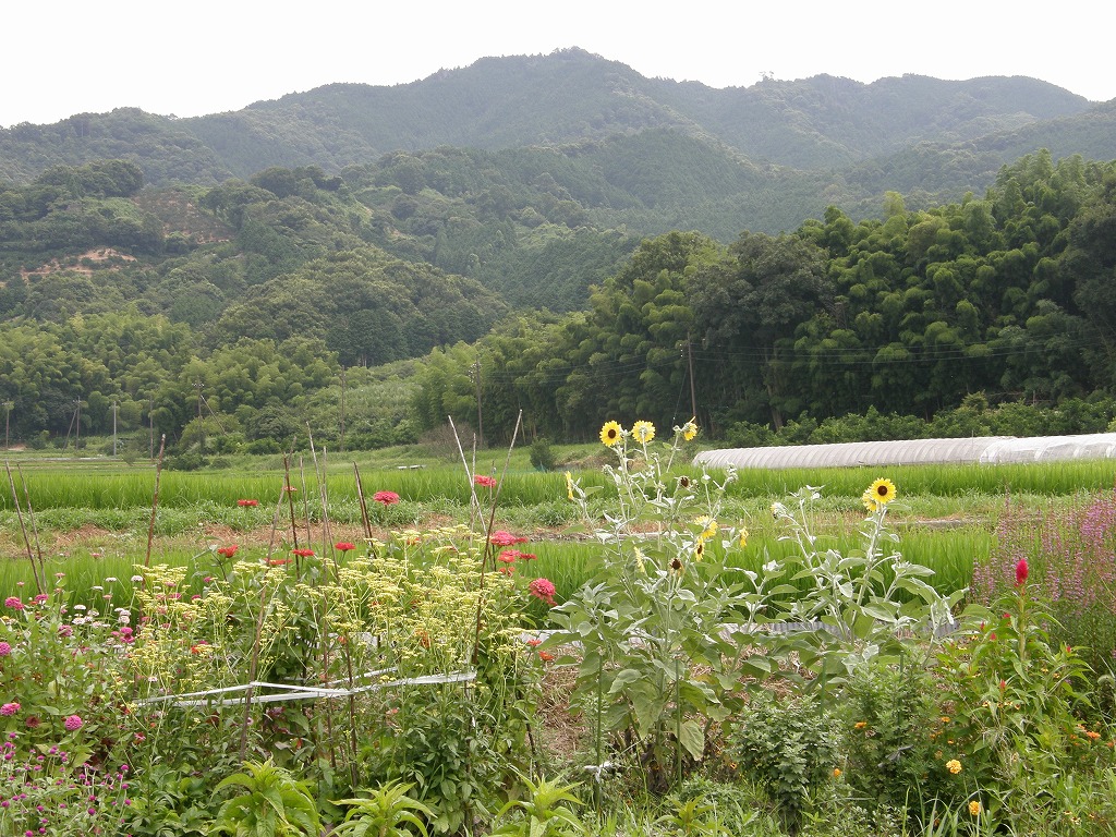 b0162728_17545621.jpg
