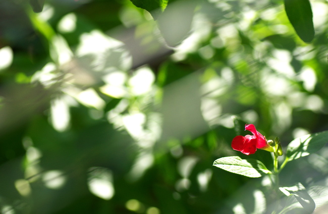 a0253730_2212163.jpg