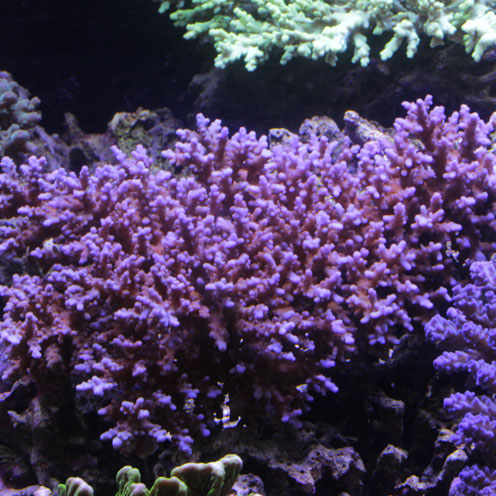 d0221436_20195543.jpg