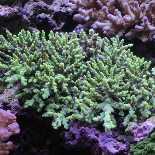 d0221436_20202587.jpg