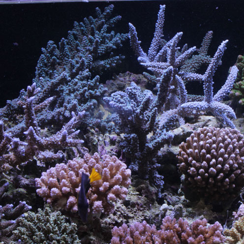 d0221436_202349100.jpg