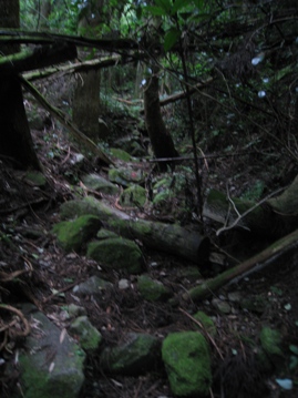 c0077338_8174281.jpg