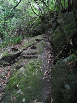 c0077338_8181531.jpg