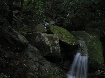 c0077338_818196.jpg