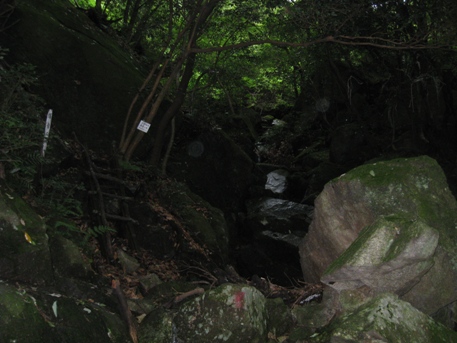 c0077338_8183292.jpg