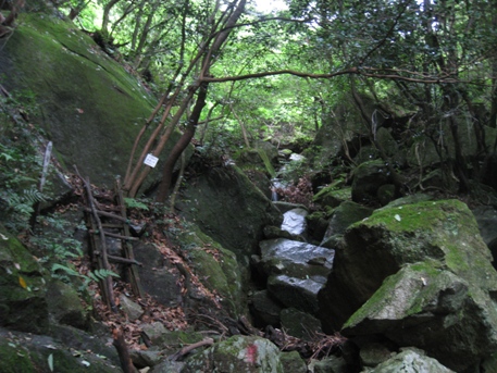 c0077338_8184472.jpg