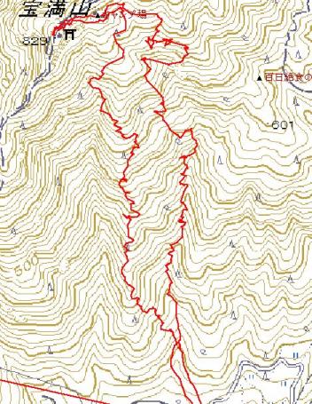 c0077338_8201497.jpg