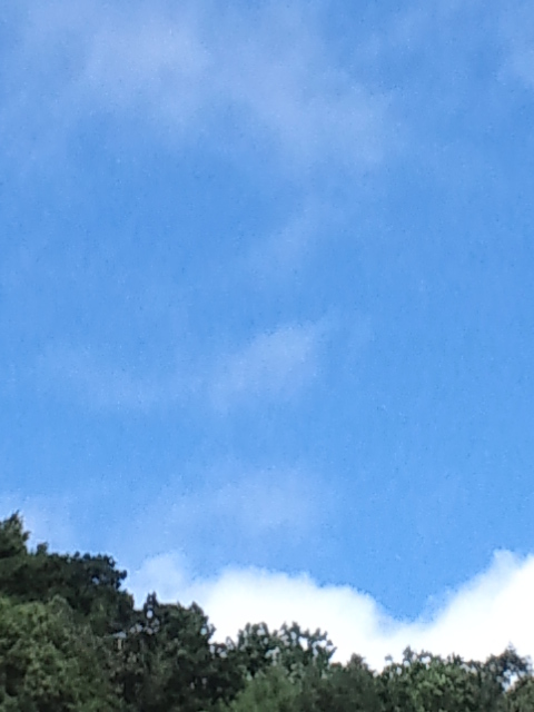 c0117239_832196.jpg
