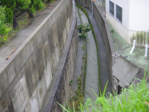e0164643_9343655.jpg