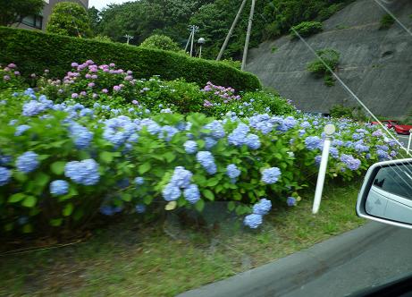 f0036269_20331132.jpg
