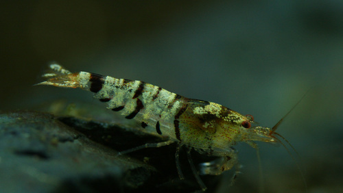 f0224970_19173837.jpg