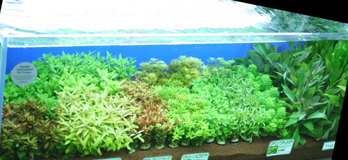 f0224970_19702.jpg