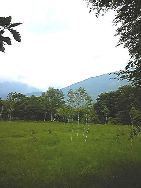 e0118274_20513996.jpg
