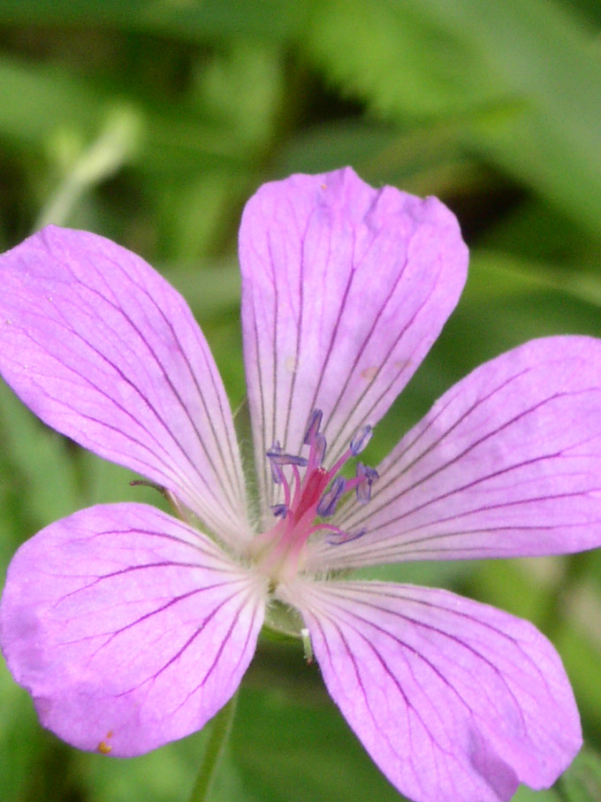 e0118274_20523337.jpg