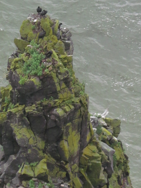 c0183777_9038.jpg