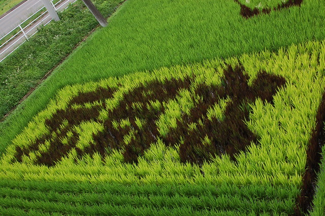 b0203588_19104217.jpg