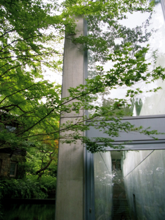 c0207189_20443279.jpg