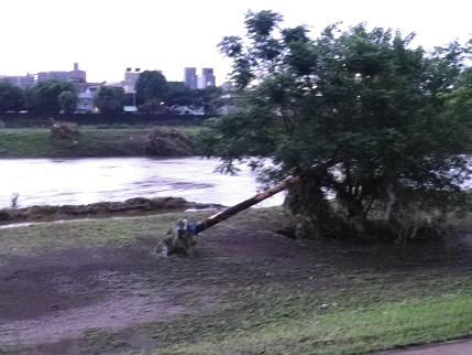 e0048994_8594524.jpg