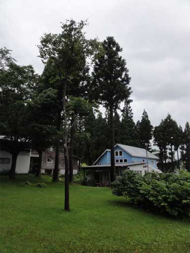 a0061599_712223.jpg