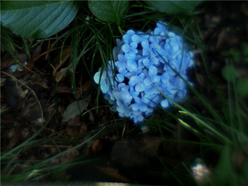 f0224100_2316440.jpg