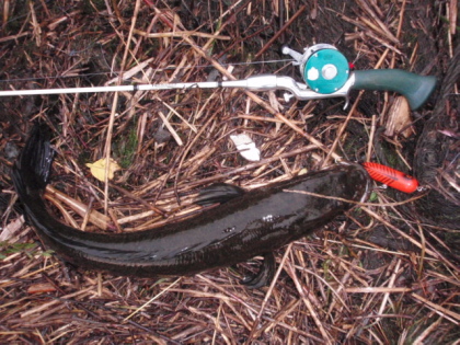 c0023804_2026470.jpg