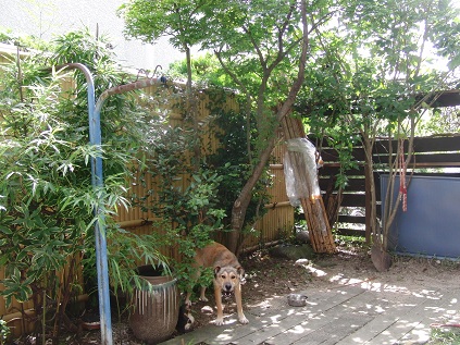e0272111_2153872.jpg