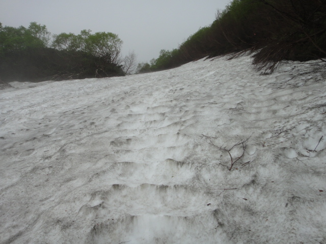 c0175712_125839100.jpg