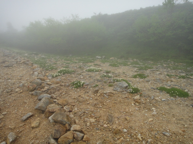 c0175712_1321858.jpg