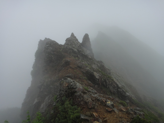 c0175712_13352446.jpg
