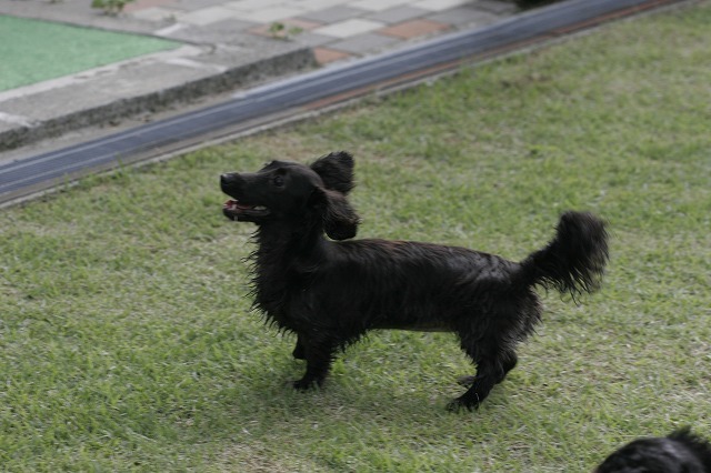 a0098513_20344684.jpg