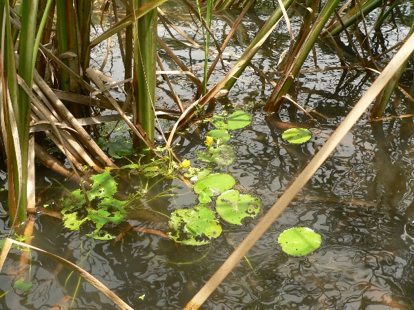e0002314_20282815.jpg