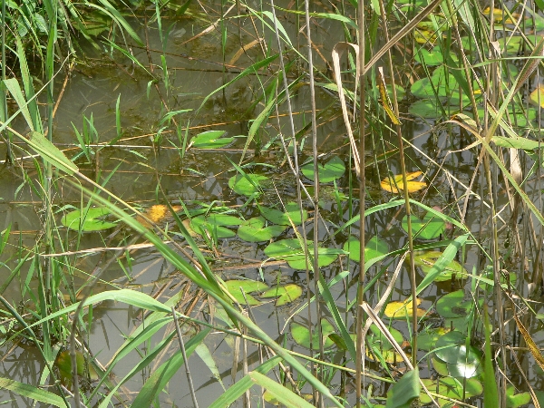 e0002314_20393586.jpg