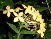 a0043520_7555037.jpg