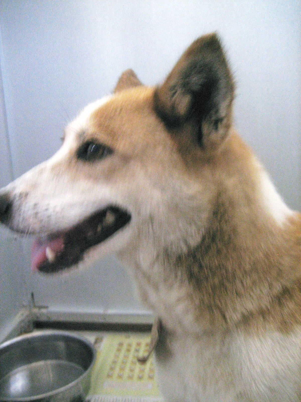 f0078320_7543311.jpg