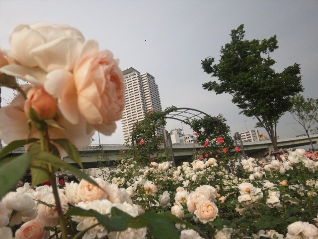 c0133821_1612538.jpg