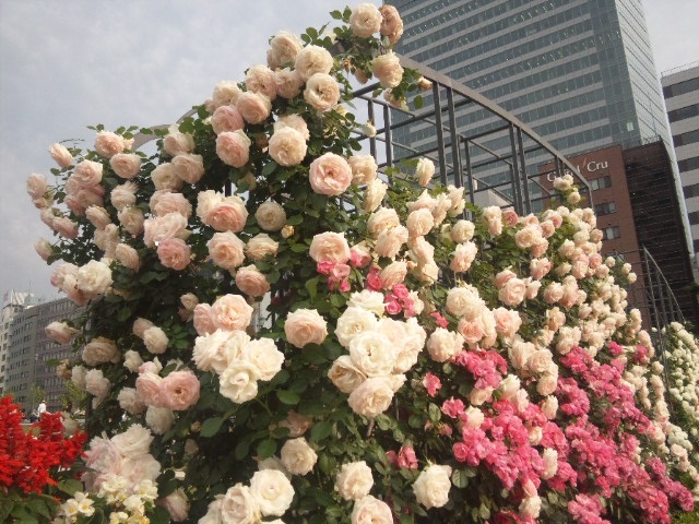 c0133821_16142552.jpg