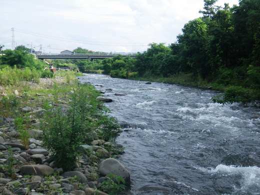 d0172227_20382638.jpg