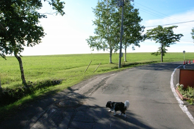 c0051132_20164580.jpg