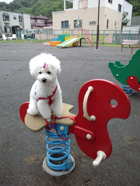 c0117239_7123516.jpg
