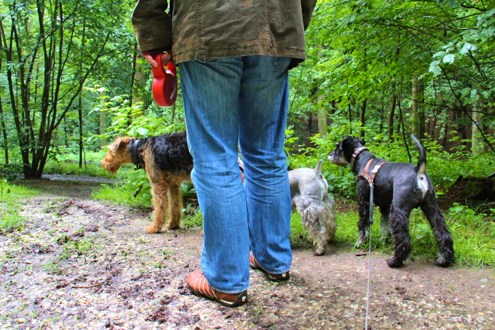 c0153740_2274624.jpg