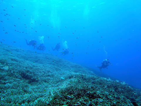 f0014842_19183843.jpg