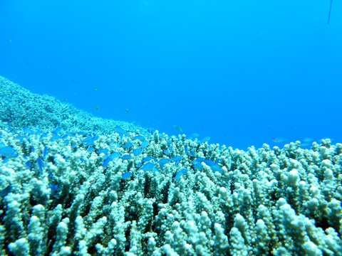 f0014842_1919459.jpg