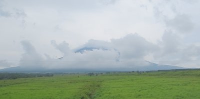 a0142343_1193668.jpg