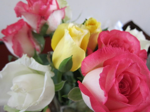 e0018143_1759449.jpg