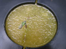 e0181546_9392159.jpg