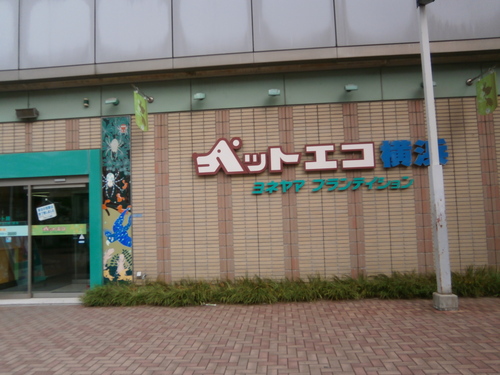 e0121548_12351570.jpg