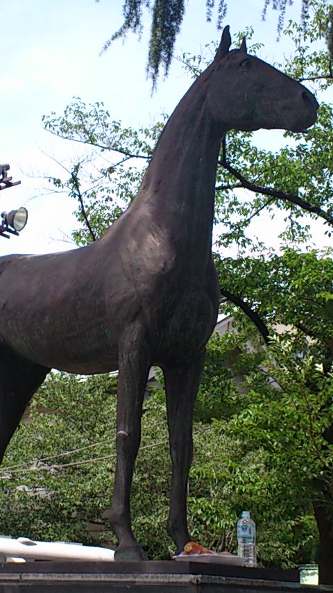 b0169850_20412296.jpg