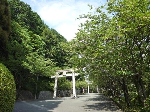 c0222861_1225758.jpg